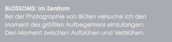 BLOSSOMS: Im Zentrum
Bei der Photographie von Blüten versuche ich den Moment des größten Aufbegehrens einzufangen: Den Moment zwischen Aufblühen und Verblühen. 